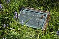 Grave marker for Jessie Saxby, authoress, in Halligarth - geograph.org.uk - 2972060
