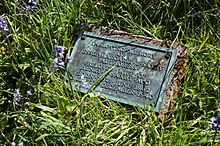 Grave marker for Jessie Saxby, authoress, in Halligarth - geograph.org.uk - 2972060.jpg