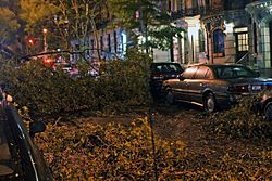 Archivo:Hurricane Sandy on 101st St