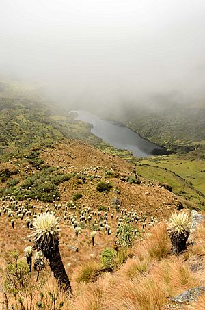Archivo:Laguna negra - Paramo de Ocetá