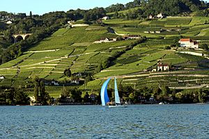 Archivo:Lake Geneva Lavaux