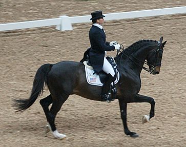 Archivo:Leslie Morse, dressage rider from the United States, with the Swedish Warmblood stallion "Tip Top", World Cup Final 2007