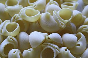 Archivo:Lumache pasta
