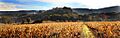 Menerbes in autumn by JM Rosier