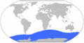 Mesonychoteuthis map