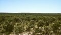 Monte W Balde