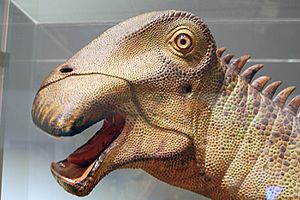 Archivo:Nigersaurus model aus