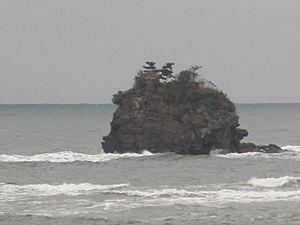 Archivo:Otoko Rock in Toyama Bay