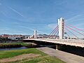Parc Fluvial del Besòs (6)