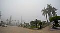 Parque central acompañado de neblina