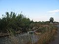 Partidor en la Acequia Aljufia, Rincón de Beniscornia
