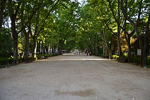 Archivo:Paseo Central del Parque Abelardo Sánchez. Centro. Albacete