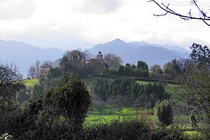 Archivo:Pereda (Oviedo, Asturias)