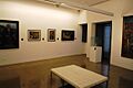 Pinacoteca FFdR, Vigo (4)