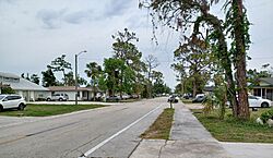 Pine Manor, Florida 1.jpg
