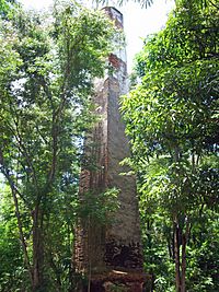 Archivo:Ruinas de la Hacienda Belvedere, Cabo Rojo, PR