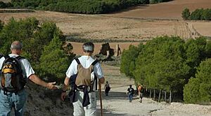 Archivo:Senderistas-ruta-del-destierro