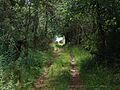 Sentier de grande randonnée à Saint-Alban-en-Montagne