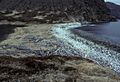 Shumagin Islands, Nagai Island, 1985