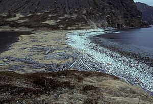 Archivo:Shumagin Islands, Nagai Island, 1985