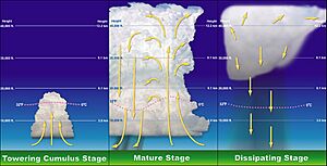 Archivo:Thunderstorm formation