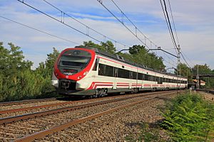 Archivo:Tren Cercanías en Aranjuez IMG 0947 (8049933860)