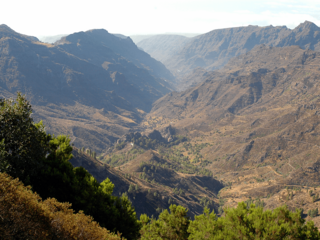 Valle de alajero.png