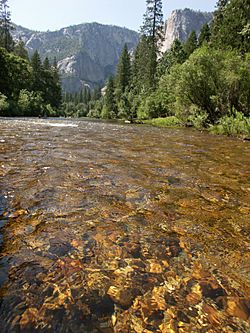 Archivo:Yosemite from Merced River