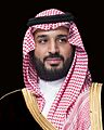 الصورة الرسمية للأمير محمد بن سلمان بن عبدالعزيز آل سعود (مقصوصة)