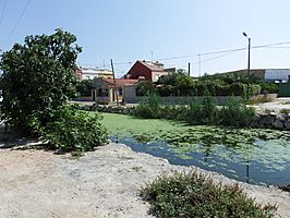 Acequia del TremolarA.jpg