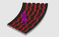 Aguja lateral