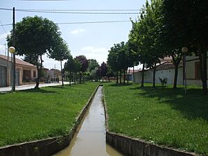 Archivo:Arroyocuellar4