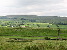 Bainbridge Roman Fort - geograph.org.uk - 930341.jpg