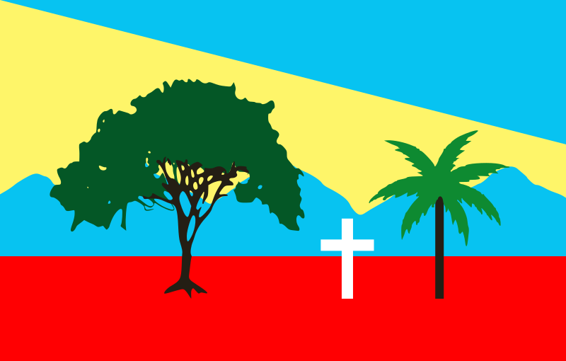 Bandera de Urdaneta (Aragua)