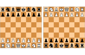 Archivo:Bughouse game animation