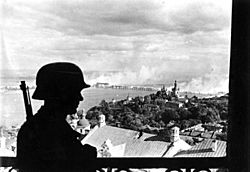Archivo:Bundesarchiv Bild 183-L20208, Ukraine, Kiew, deutscher Wachposten auf der Zitadelle