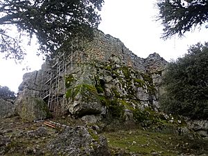 Archivo:Castillo de Navagallega