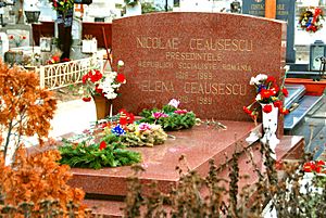 Archivo:Ceaușescu Grave