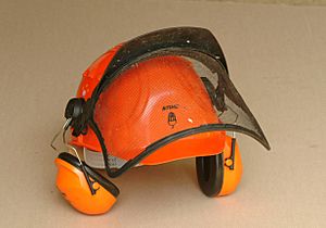 Archivo:Chainsaw helmet