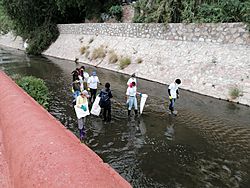 Archivo:Ciudadanos participando en la Sexta Mega Limpieza Ciudadana en Querétaro, Querétaro