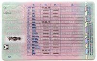 DE Licence 2013 Back.jpg