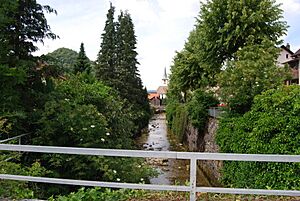 Archivo:Erschwil - Luessel 601