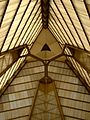 FLW B Sholom looking up