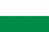Flag of San Ramón.gif