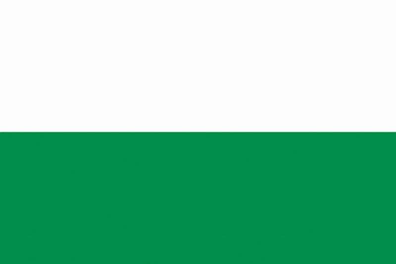 Flag of San Ramón