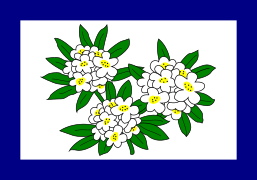 Flag of West Virginia (1905–1907)