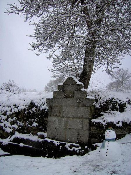 Fonte nevada