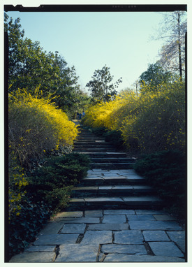 Archivo:Forsythia Walk after widening - Dumbarton Oaks Park, Thirty-second and R Streets Northwest, Washington, District of Columbia, DC HABS DC,GEO,175-30 (CT)