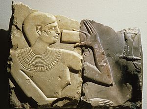 Archivo:Fragments from stela of the Chief Steward Henenu MET 26.3.218 01