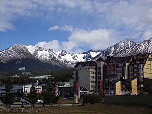 Glaciar Martial 100 2981